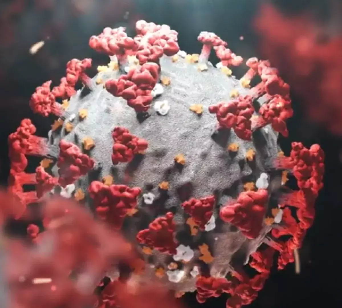 Etude sur l'aspect démographique du Covid 19 - Timeline Covid