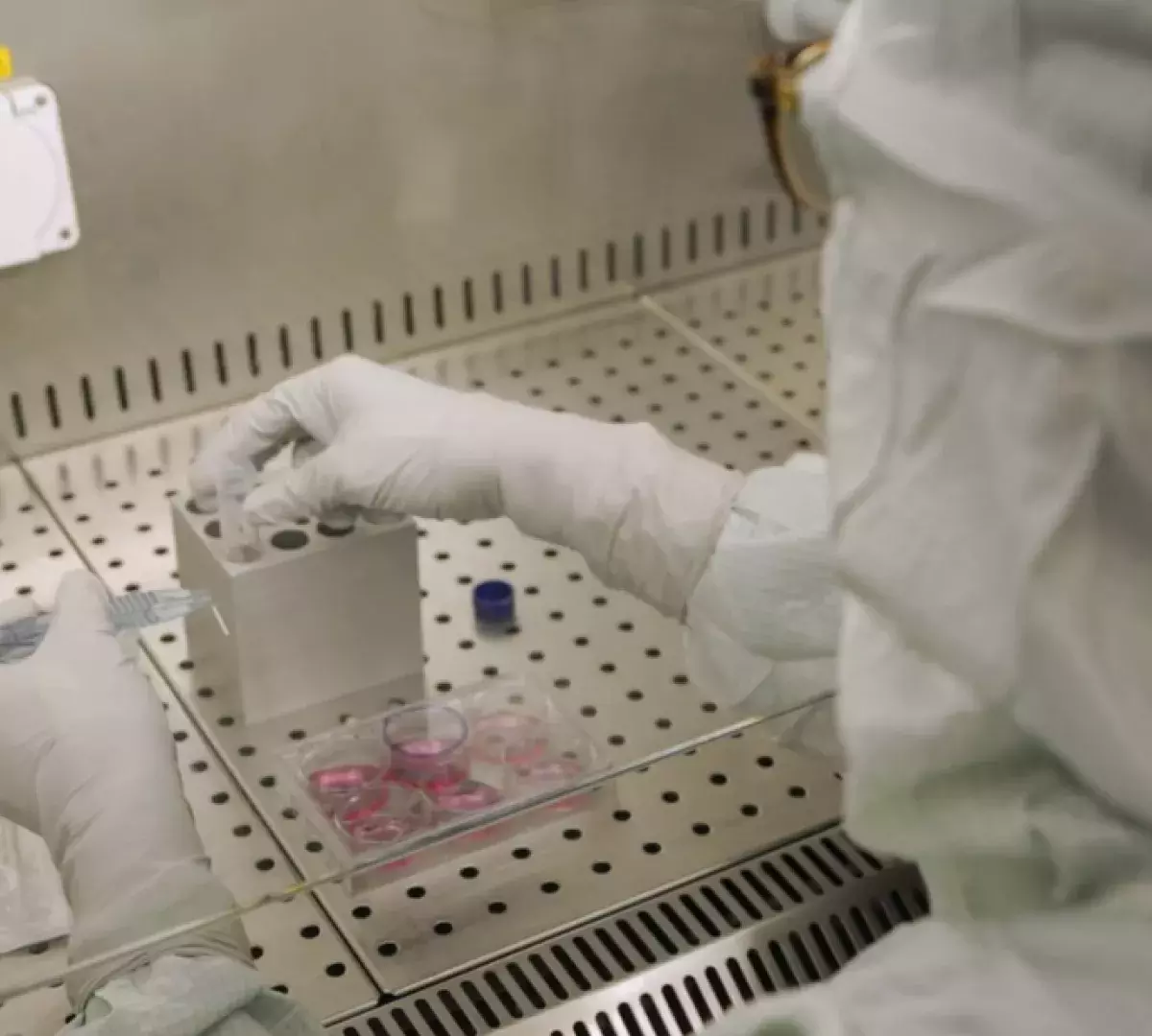 Oncologie de précision