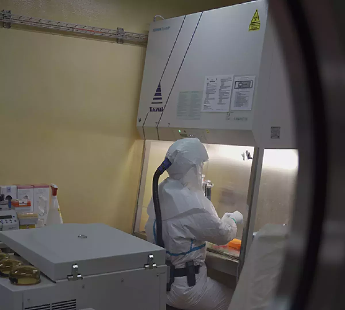 Coronavirus