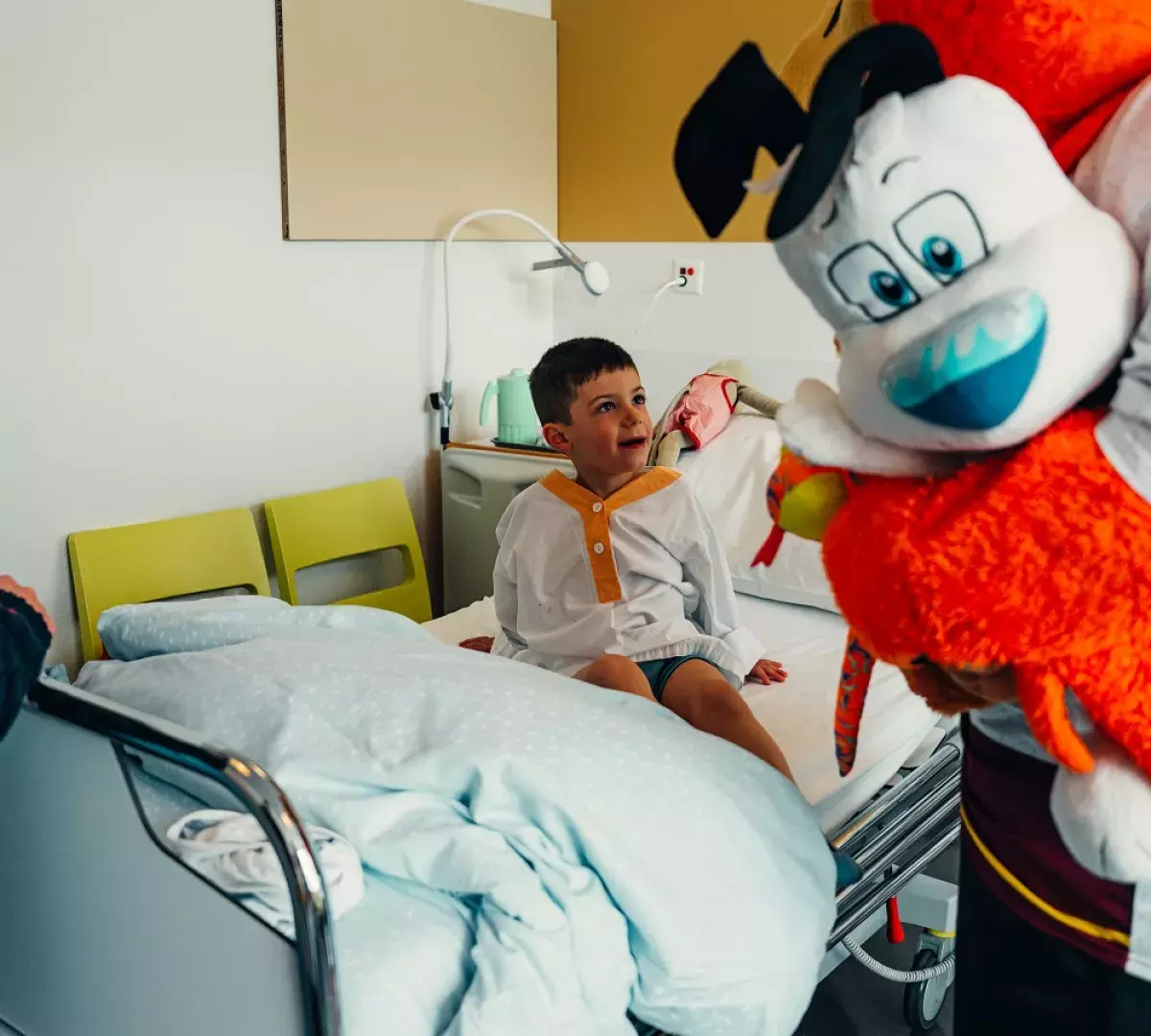 distribution_peluches