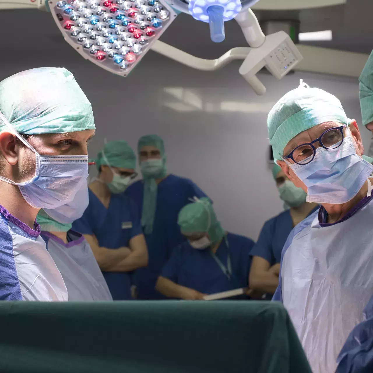 Transplantation d'organes