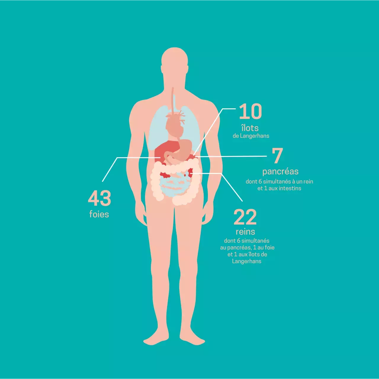 Transplantations par organes en 2020