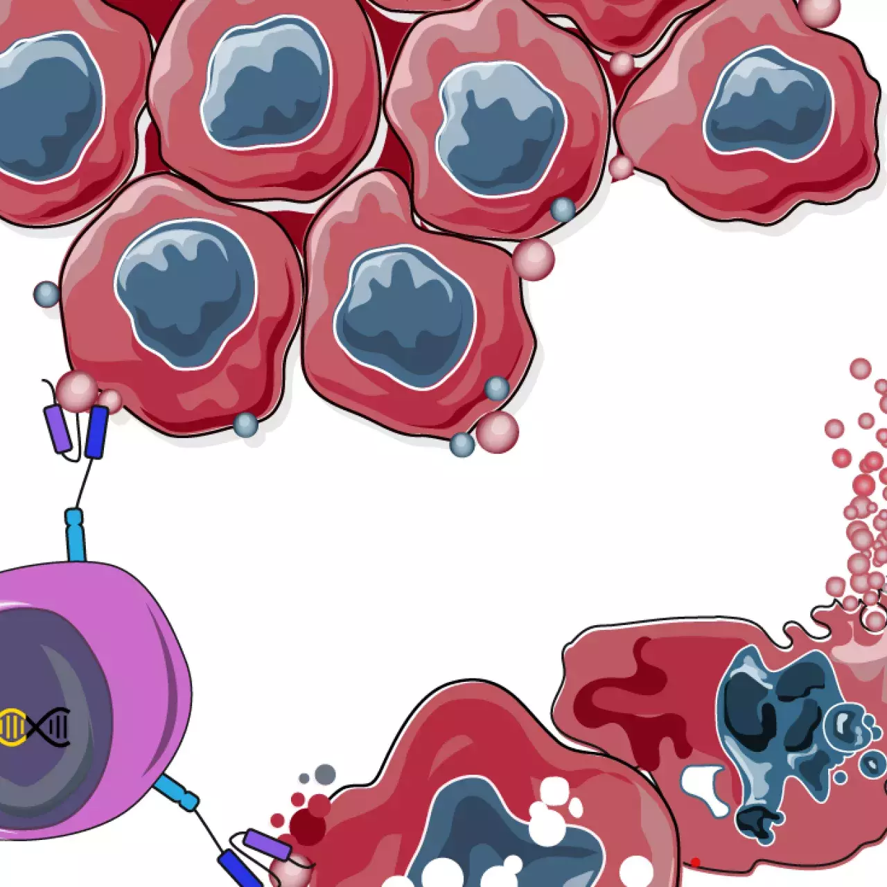 Immunothérapie cellulaire en oncohématologie - Article Panorama 2021