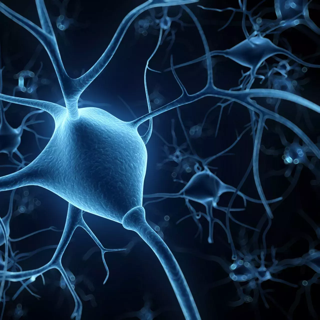 Modélisations 3d en neurochirurgie - Article Panorama 2021