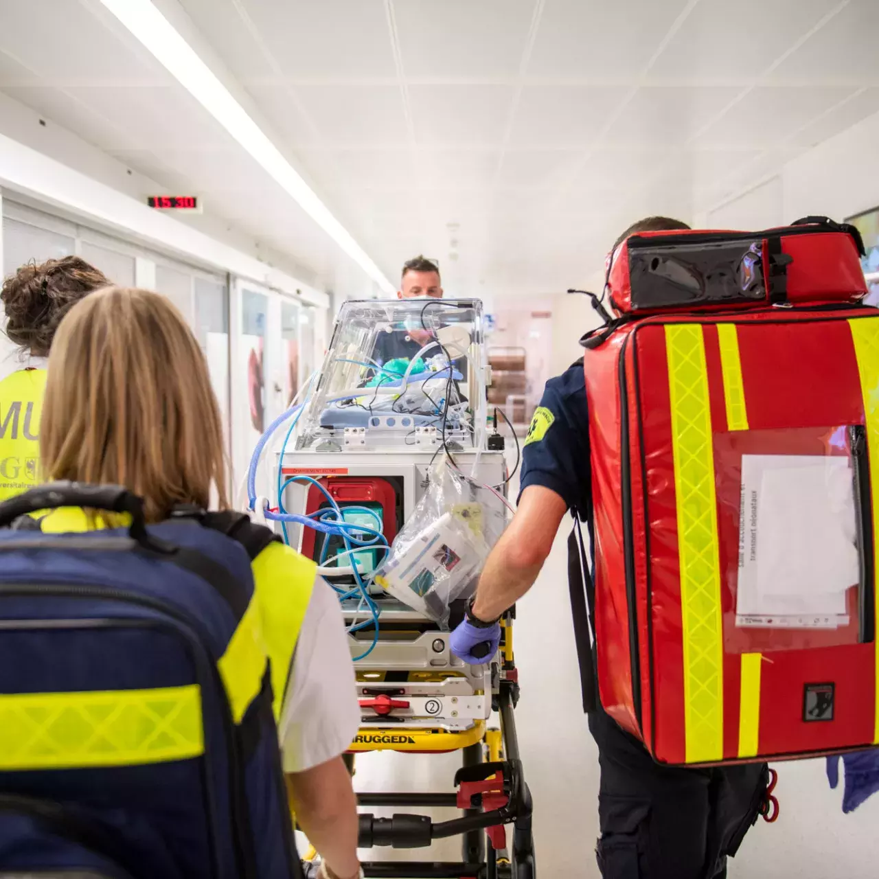 NéoReaBag - Article Panorama 2021