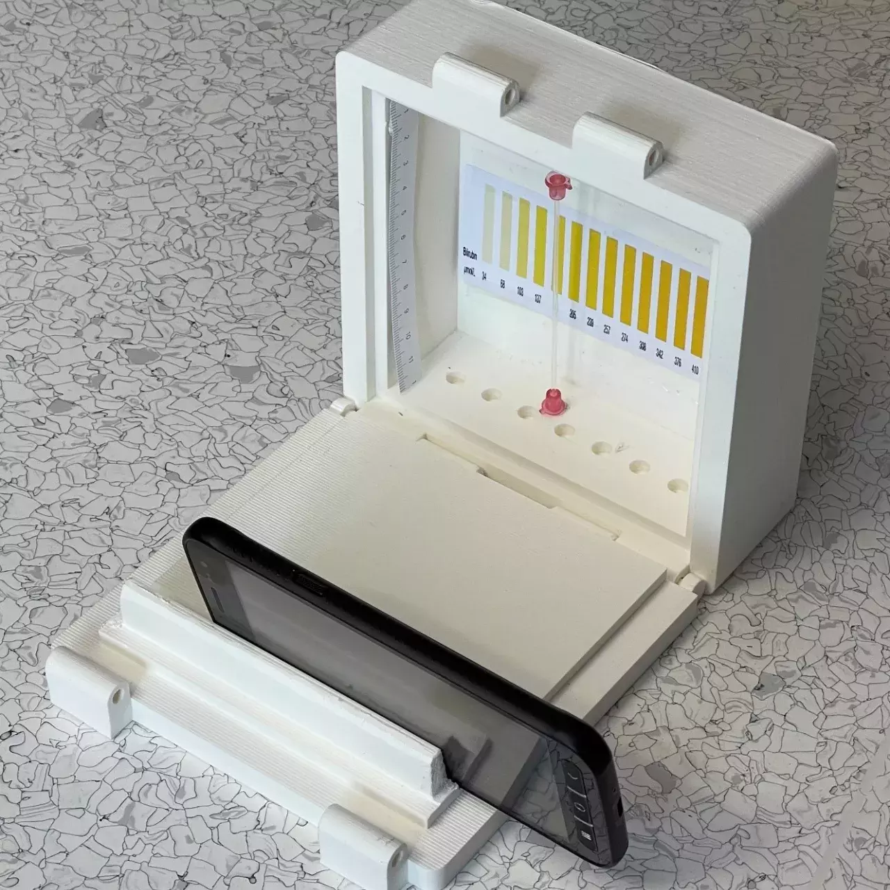 Projet Bilifree - Article Panorama 2021