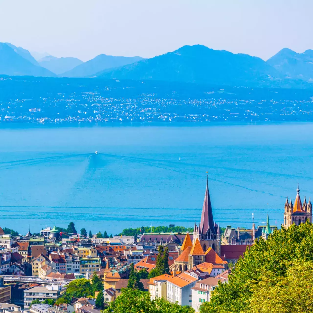 Association Vaud-Genève