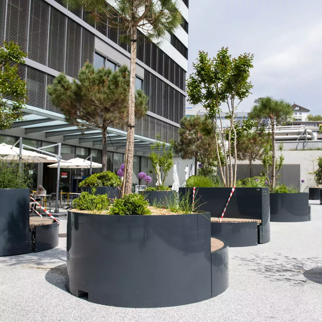 Vers un hôpital fleuri et végétalisé