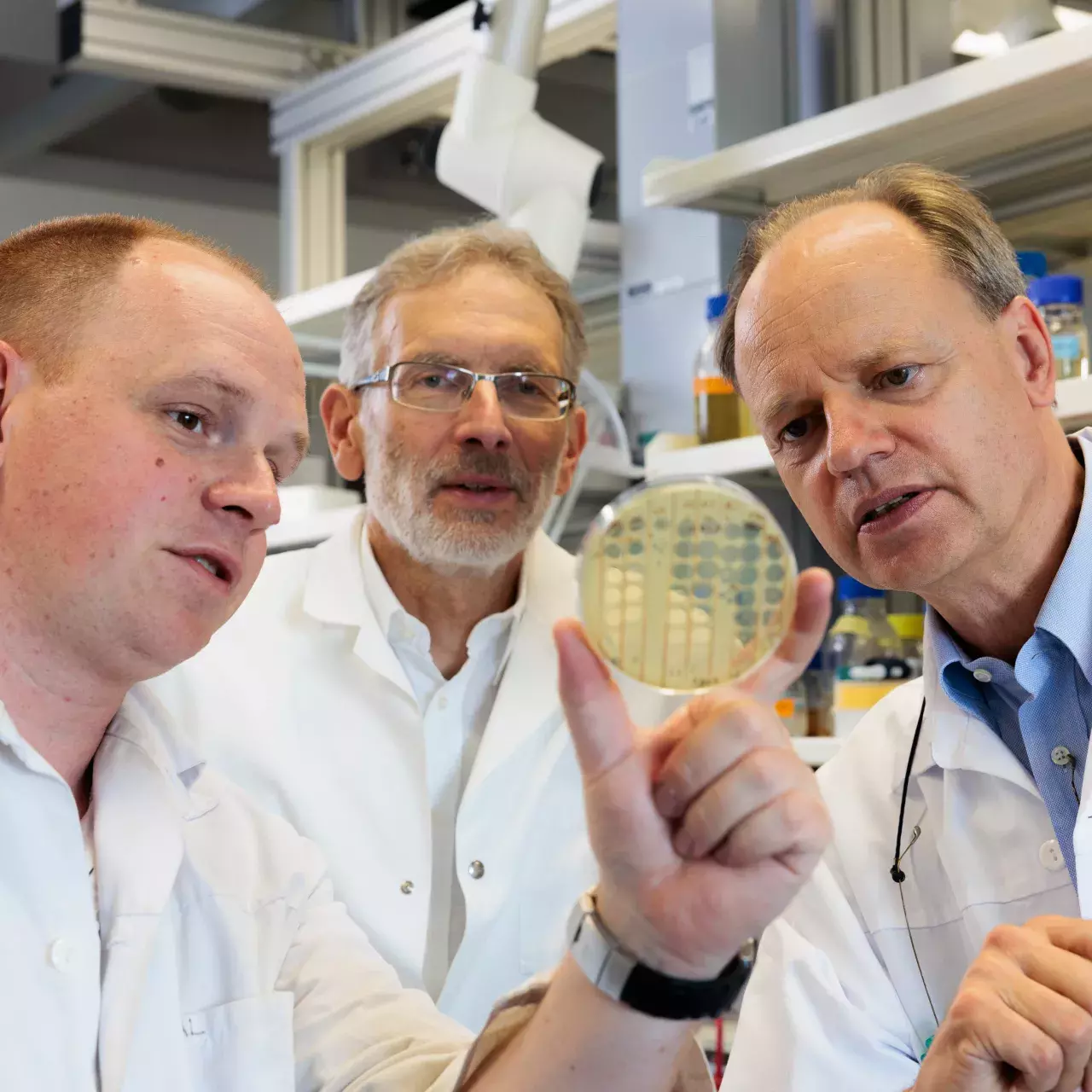 Un patient sauvé de l'antibiorésistance grâce aux bactériophages