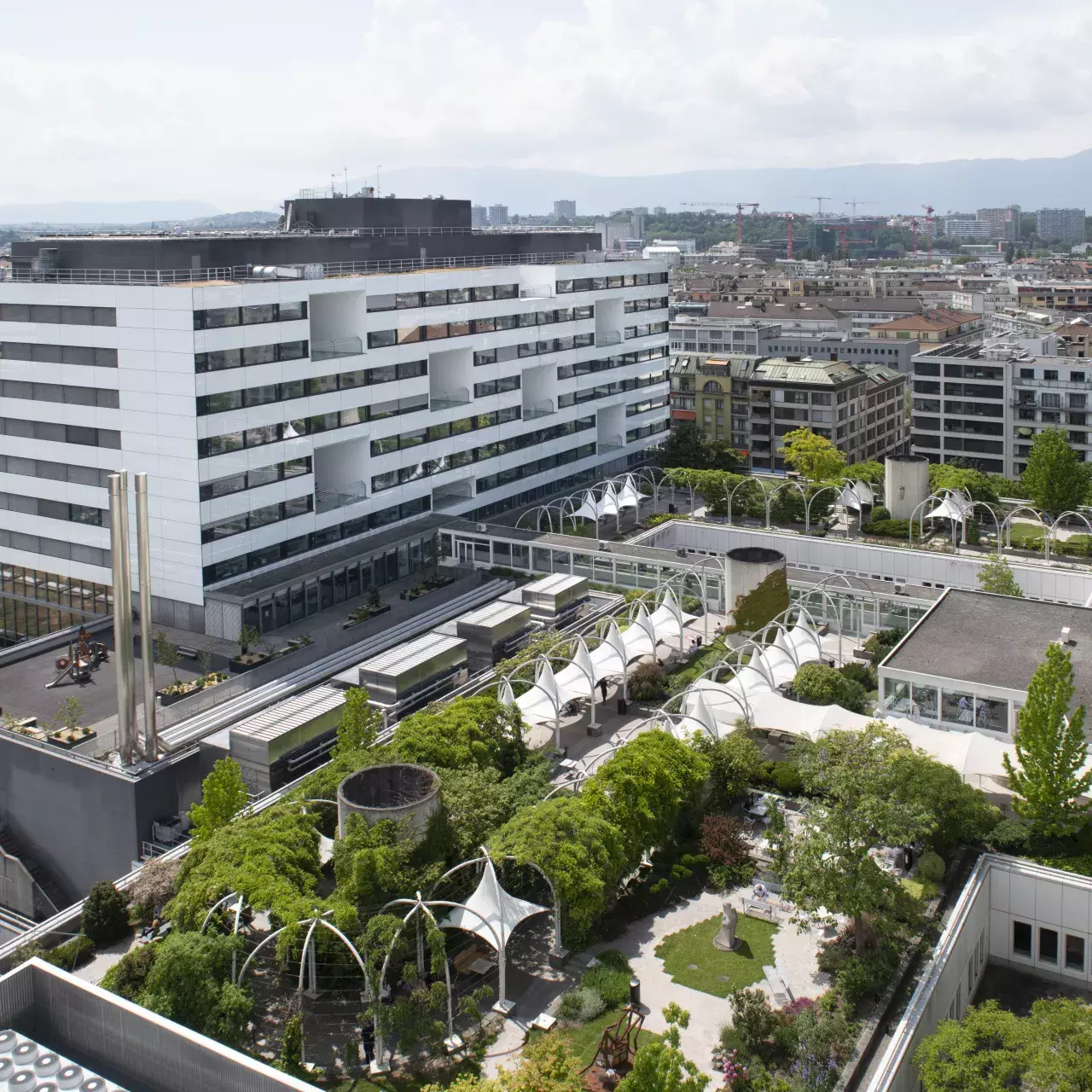 Projet des 100 arbres