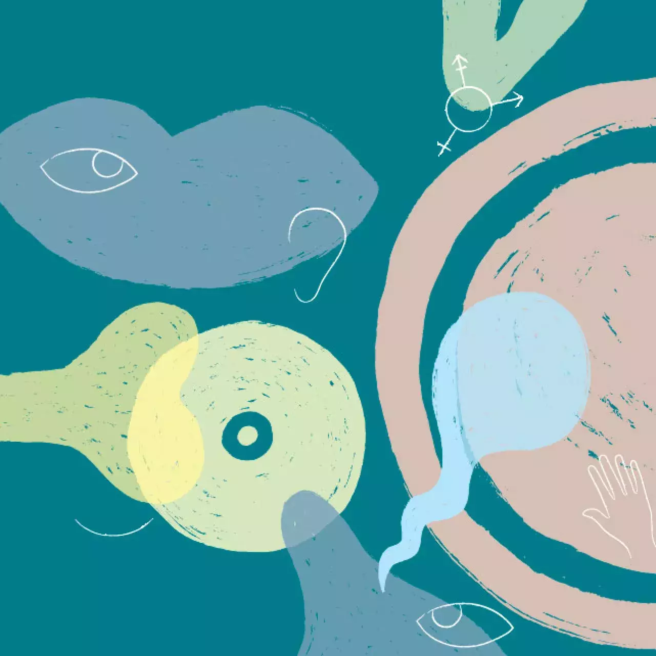 Ouverture d’une antenne de santé sexuelle à Onex 