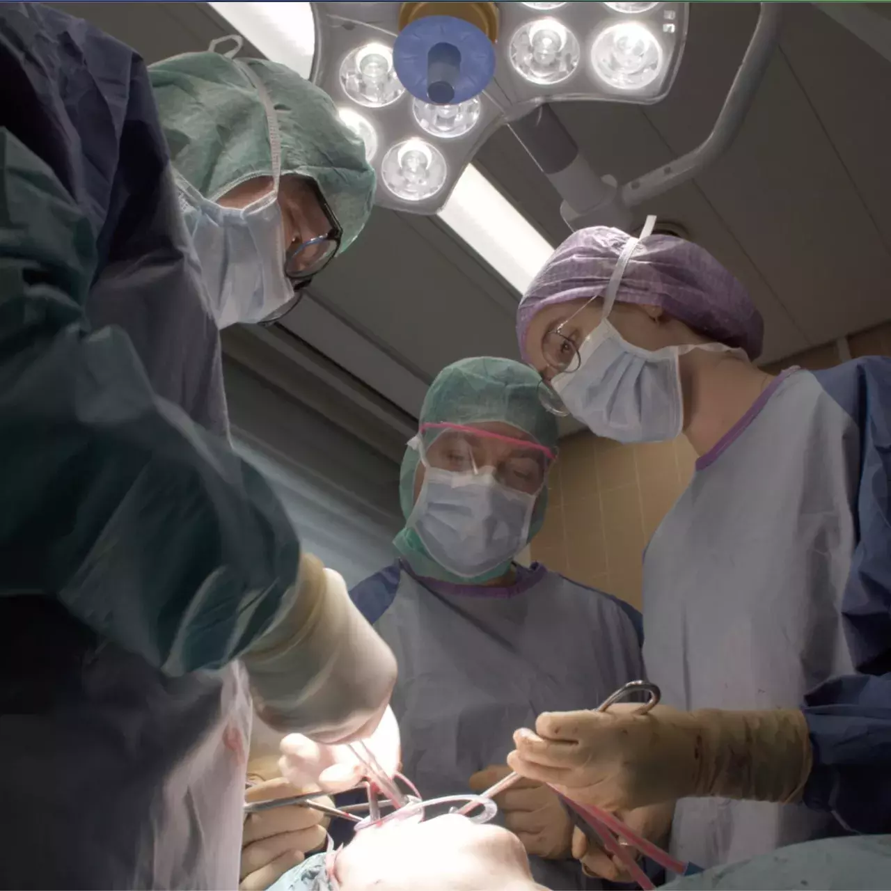 Chir maxillo-fatiale